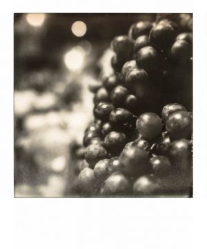 SX70 - Cua Ong - Grappes